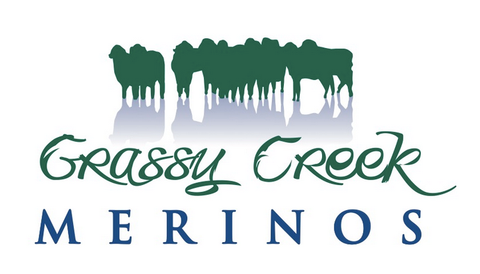 Grassy Creek Merinos